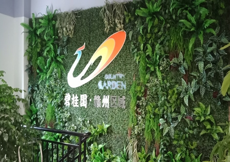 &#20061;&#28216;