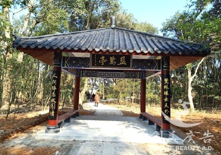 &#20061;&#28216;